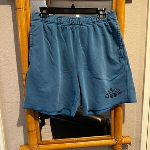Champion Men's Athletic Teal Shorts